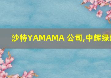 沙特YAMAMA 公司,中辉绿建